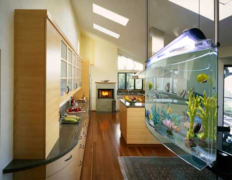 Ideas for Aquarium in the Modern Home and Office