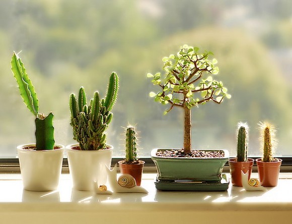 decorating window sill