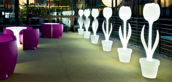 tulip polyethylene lights