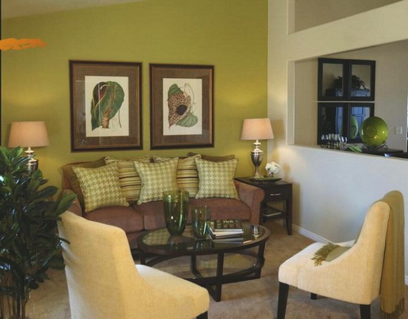 living room green and brown combo