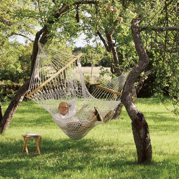 hammock for the outdoor