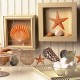 eco style ideas sea shell 03