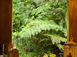 waterfall bay house 06