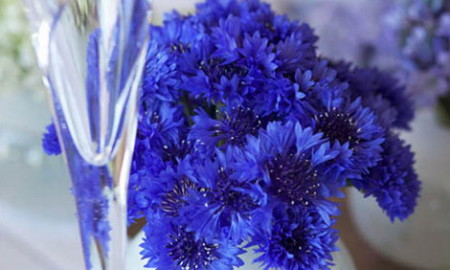 blue flowers creative ideas 01