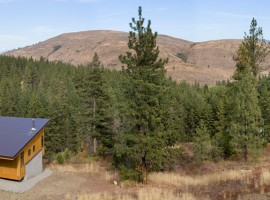 pine forest cabin 01