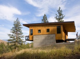 pine forest cabin 02