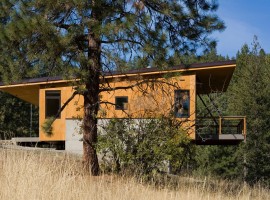 pine forest cabin 03