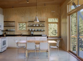 pine forest cabin 09