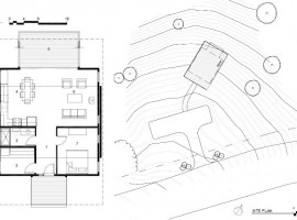 pine forest cabin 13