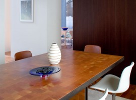 calem rubin residence 16