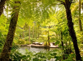 como shambhala resort 03