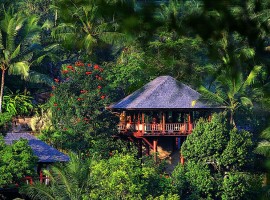 como shambhala resort 13