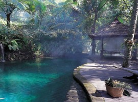 como shambhala resort 28