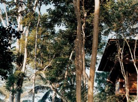 como shambhala resort 29