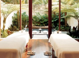 como shambhala resort 34