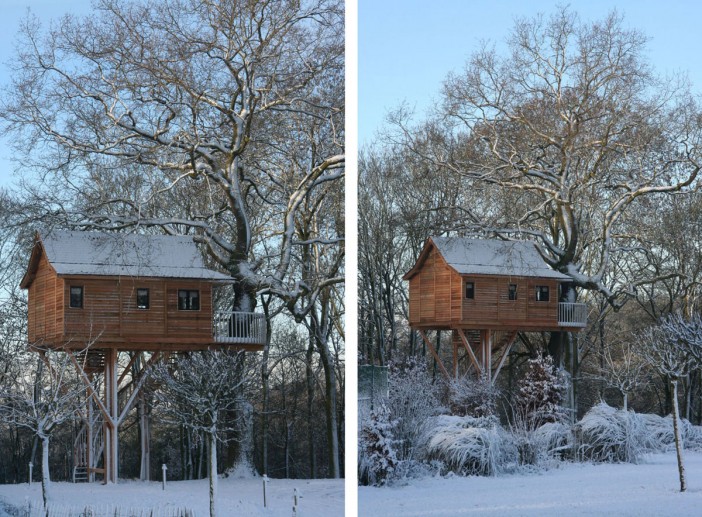 Beautiful tree house