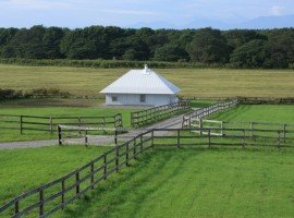 meme experimental house in japan 03