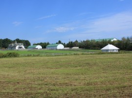 meme experimental house in japan 08