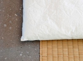 meme experimental house in japan 17