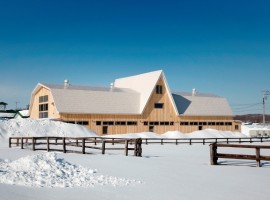 meme experimental house in japan 19