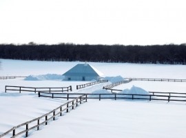 meme experimental house in japan 25