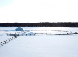 meme experimental house in japan 26