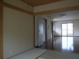 switch box in house in japan 11