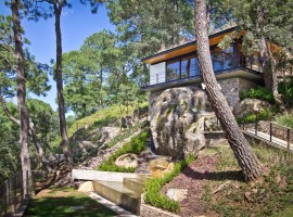 the forest pavilion 02