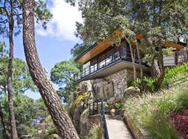 the forest pavilion 06