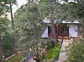 the forest pavilion 07