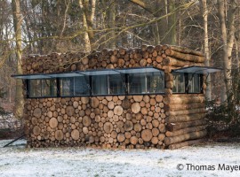 tree trunk garden house 14