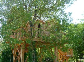 cabane et spa tree house 02