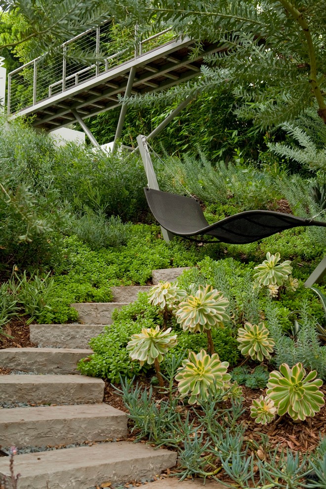 pasadena contemporary landscape hammock