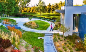 elevate by design modern landscape front yard