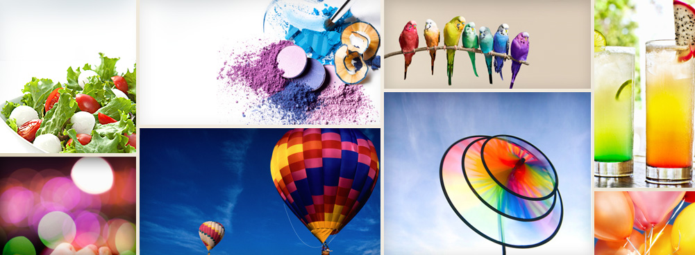 snap it tool asian paints