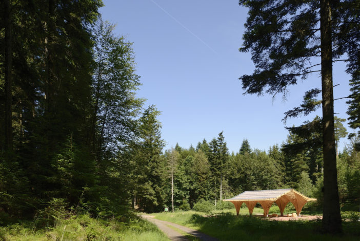 Préau / Bertrichamps / Christophe Aubertin / Studio LADA Arch.