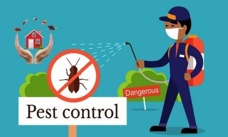 pest control company