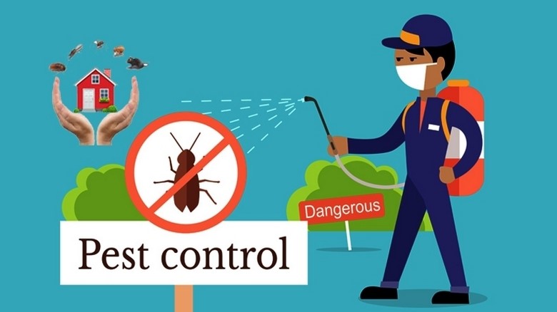 General pest control company services