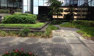 commercial landscaping