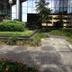 commercial landscaping