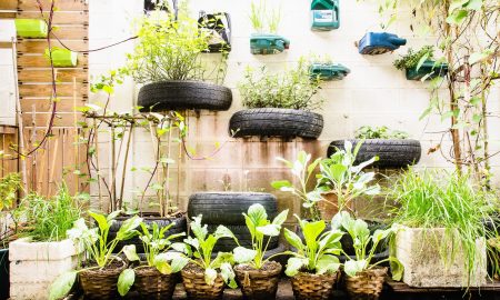 5 clever gardening tricks you might not know
