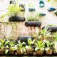5 clever gardening tricks you might not know