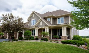 Advantages of Independent Pest Inspections