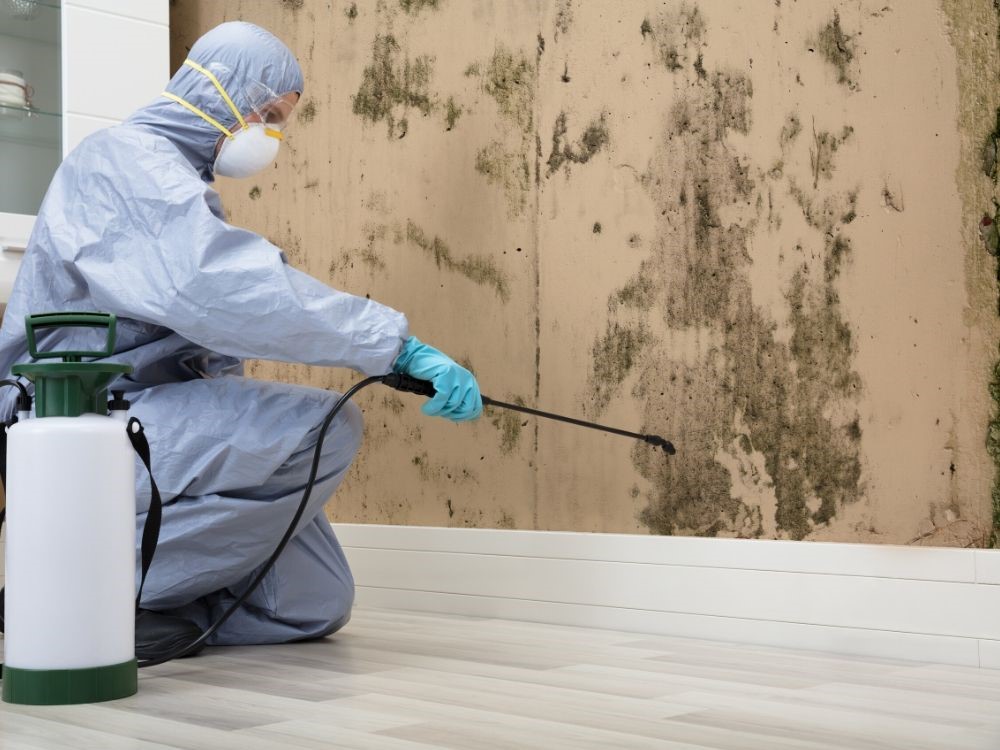 Home Remedies for Mold Treatment