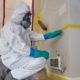 Mold Removal Services