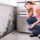 Right Spokane Mold Removal