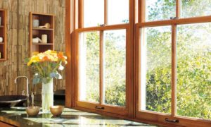 Advantages of Window Replacement Services