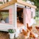 Chicken Coops for Sale in Oklahoma