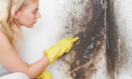 Allentown Mold Removal