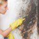 Allentown Mold Removal